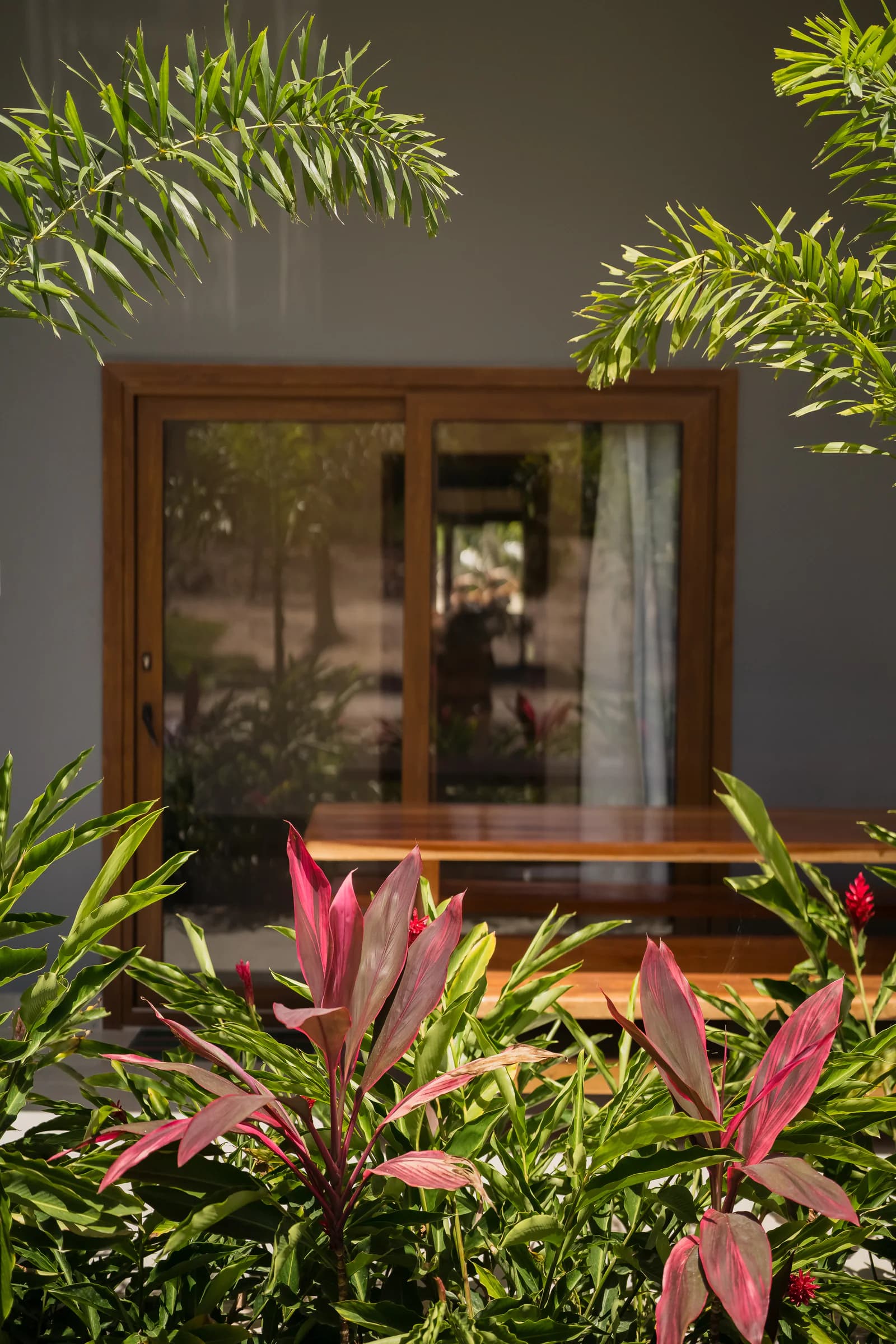 Porta da suíte entre plantas tropicais no Residencial Marinho, Arraial d’Ajuda.
